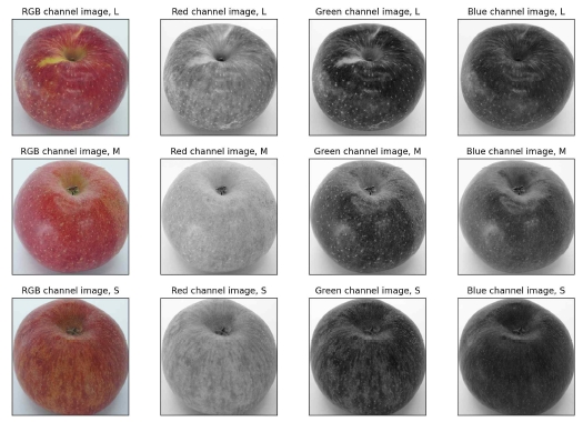 Fig. 7.