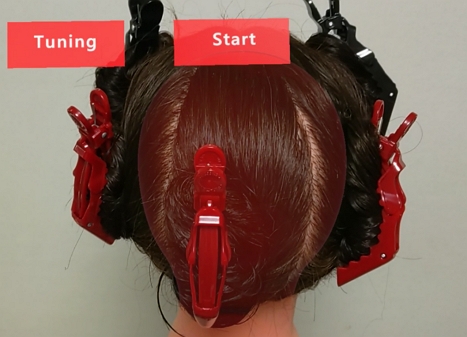 Fig. 1.