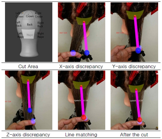 Fig. 8.