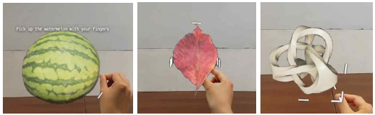 Fig. 1.