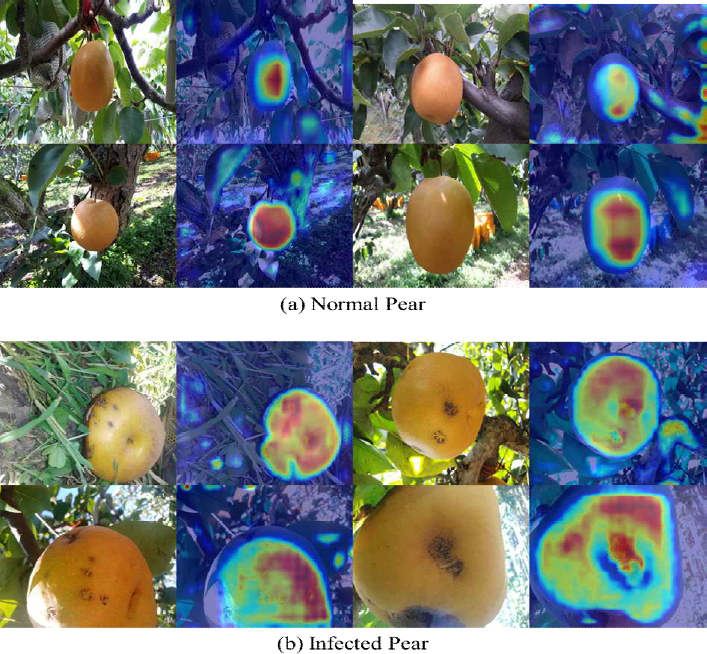 Fig. 8.